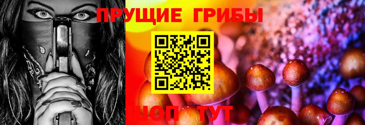 Каспийск  Псилоцибиновые грибы мухоморы  Галлюциногенные грибы мицелий  Вход с VPN 